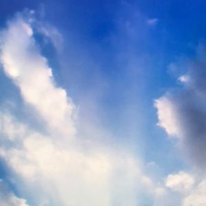 Meet your Posher, Lilah